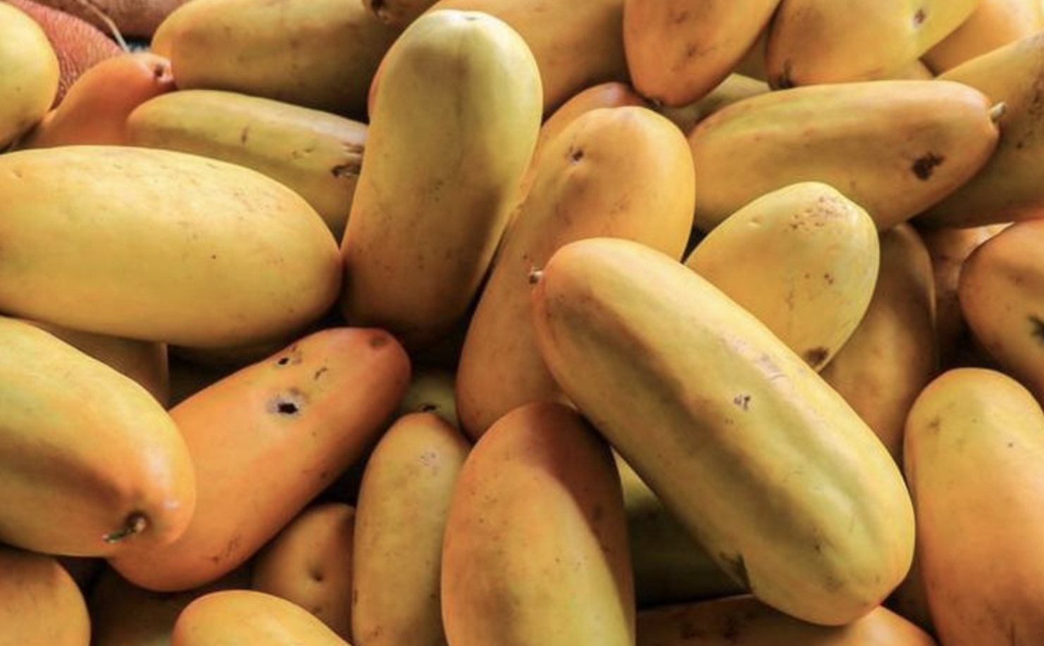 Timun Suri: How to pick the perfect fruit for Ramadan drinks