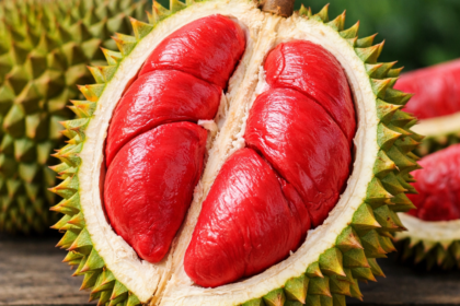 Banyuwangi Red Durian: Decoding the Crimson King